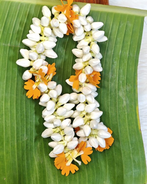 Mottu malli*kanakamaram string