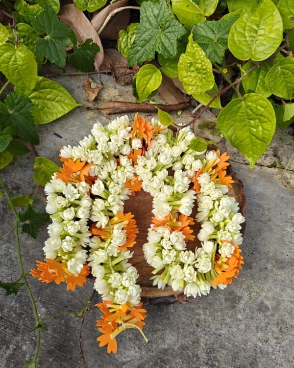 Double Layer Mullai & Kanakamaram String