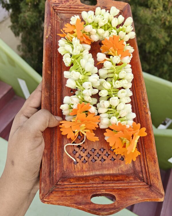 Semi Bloomed*Kanakamaram String