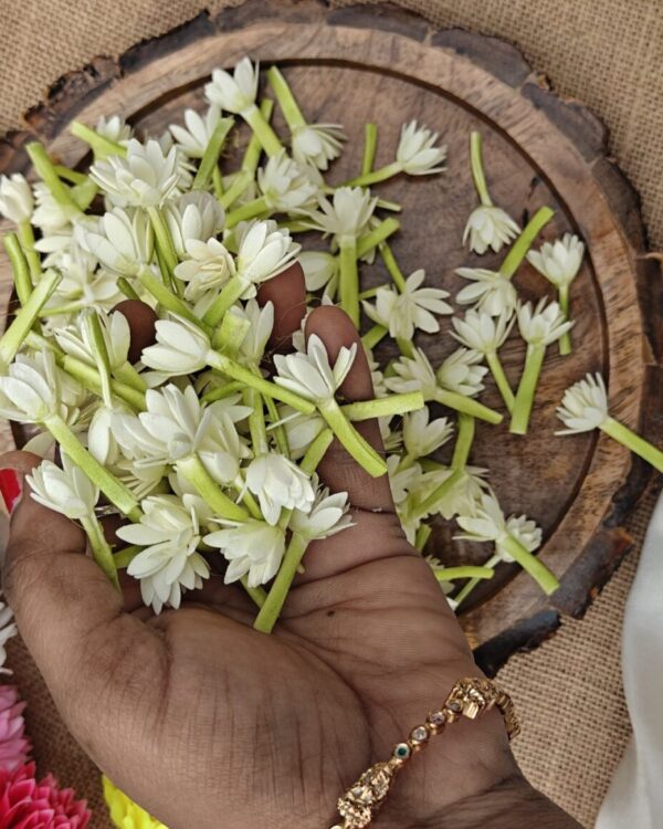 Bloomed Mullai(2 Layer) Buds