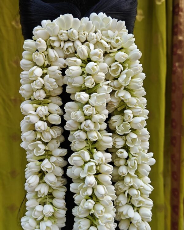 Madras Malli Center Clip Strings