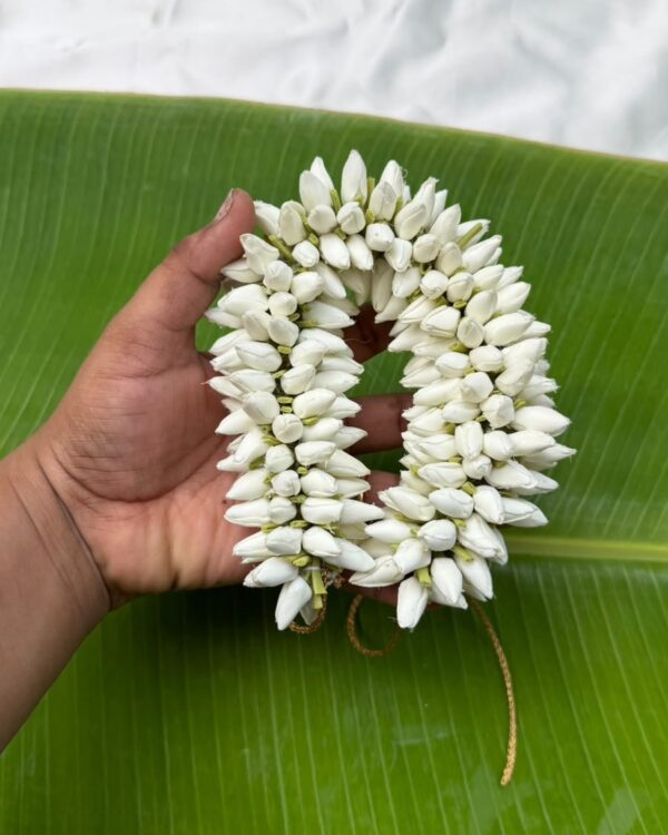 Mottu Malli Veni