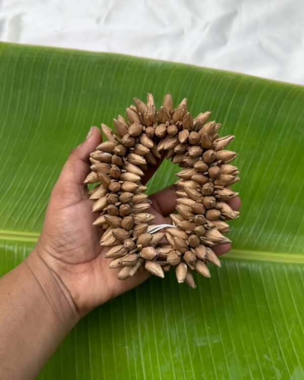 Gold Mottu Malli Veni (10inch)